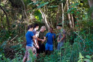 Descubren que hormigas reparan daños en plantas que usan como refugio. 1 Descubren que hormigas reparan - Descubren que hormigas reparan