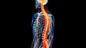 Trasplante de células madre - Trasplante de células madre