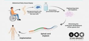 Científicos están cerca - Científicos están cerca