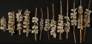 Te presentamos las noticias que quizá te perdiste la semana pasada (06.02.2022) 5 -