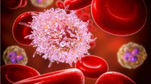 Células modificadas propician - Células modificadas propician