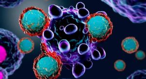 Células modificadas propician - Células modificadas propician