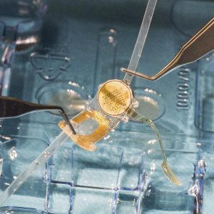 Por falta de actualización - Por falta de actualización