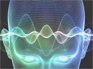 cerebro - cerebro