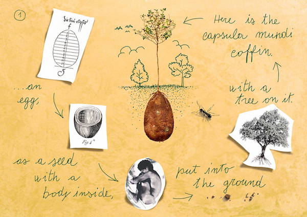 En lugar de ataúdes y cremaciones mejor alimentemos a un árbol 2 -