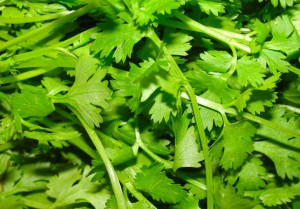 6 medios geniales para purificar y obtener agua potable 3 -