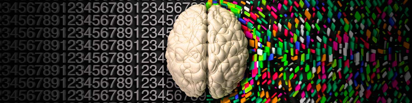 El Mito de los Hemisferios Cerebrales 1 -