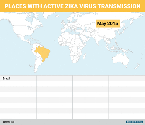 Todo lo que tienes que saber del virus Zika. POSIBLE VACUNA 1 -