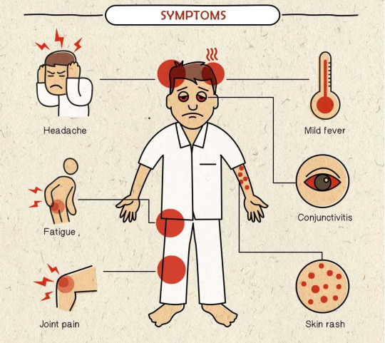Todo lo que tienes que saber del virus Zika. POSIBLE VACUNA 2 -