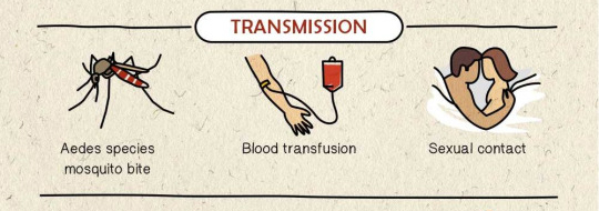 Todo lo que tienes que saber del virus Zika. POSIBLE VACUNA 3 -