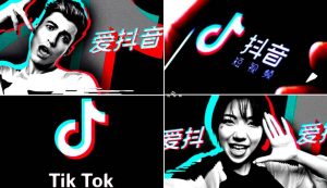 Tik Tok podría ser prohibido por el gobierno de los Estados Unidos 2 -