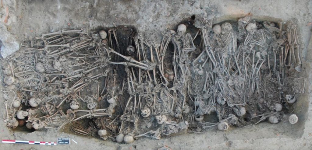 peste,peste negra,peste bubónica - peste