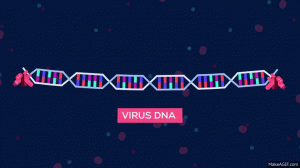 ¿Cómo se hace la edición genética actualmente? 2 CRISPR por Dauri