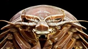 Esta semana en la ciencia del 20 al 26 de julio 2020 3 -
