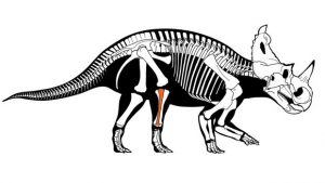 Esta semana en la ciencia del 3 al 9 de agosto 2020 1 -