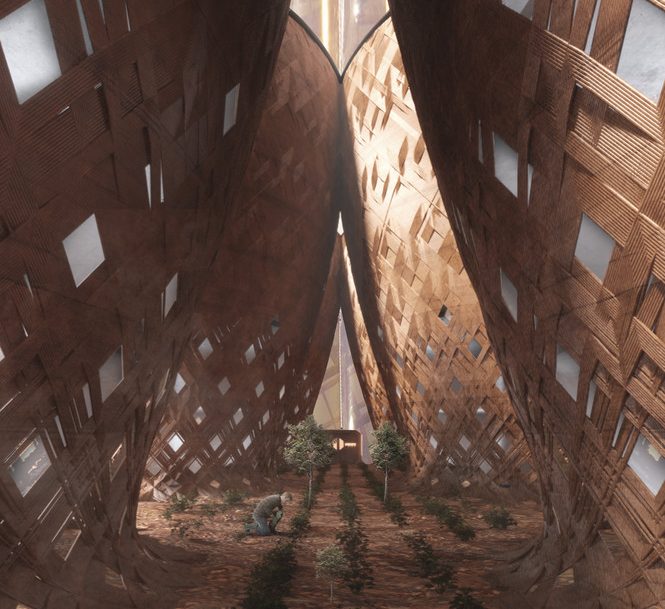 Colonización de Marte - Colonización de Marte