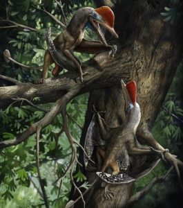 Conoce al Pokemon que vivió realmente, un lindo reptil jurásico 3 -