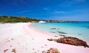 Mauro Morandi abandona isla - Mauro Morandi abandona isla