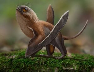 Conoce al Pokemon que vivió realmente, un lindo reptil jurásico 2 -