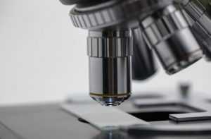 Nuevo microscopio - Nuevo microscopio