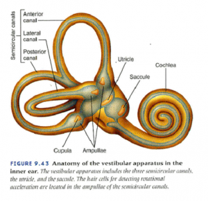 Científicamente hablando ¿Qué son los viajes astrales? 3 científicamente viajes astrales - científicamente viajes astrales