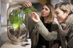 Desarrollan lámpara capaz de iluminar - Desarrollan lámpara capaz de iluminar