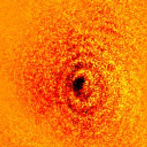 Nuevo microscopio - Nuevo microscopio