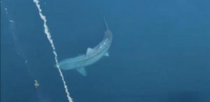 Un joven estudiante - Un joven estudiante