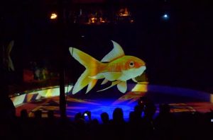 Un circo con espectáculos - Un circo con espectáculos