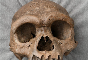 Una nueva especie humana - Una nueva especie humana