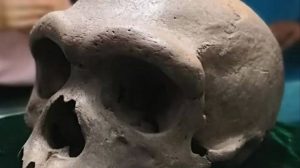 Una nueva especie humana - Una nueva especie humana