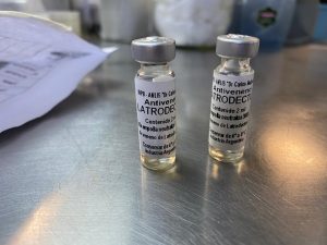 Viuda negra - Viuda negra