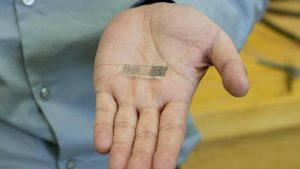 Crean implante reabsorbible - Crean implante reabsorbible