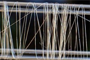 Universo podría ser una Gigantesca dona, Imágenes del Hubble después de Anomalía, Bacterias producen seda más Fuerte que las Arañas, estas y otras noticias que quizá te perdiste la semana pasada. 8 -