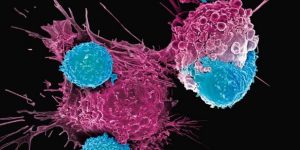 Un grupo de investigadores - Un grupo de investigadores