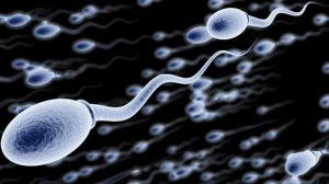 Crean nuevo método anticonceptivo monoclonal anti-esperma. 1 Crean nuevo método anticonceptivo - Crean nuevo método anticonceptivo