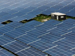 Investigadores logran multiplicar - Investigadores logran multiplicar