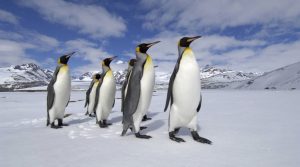 Universo podría ser una Gigantesca dona, Imágenes del Hubble después de Anomalía, Bacterias producen seda más Fuerte que las Arañas, estas y otras noticias que quizá te perdiste la semana pasada. 3 -