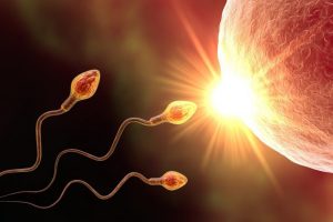 Científicos desarrollan anticonceptivo - Científicos desarrollan anticonceptivo