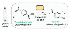botellas de plástico en saborizantes de vainilla - botellas de plástico en saborizantes de vainilla
