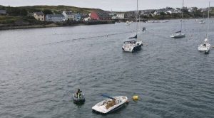 ‘Wally’ la morsa que se quedó dormida y viajó desde el ártico a Irlanda. 2 ‘Wally’ la morsa que se quedó dormida - ‘Wally’ la morsa que se quedó dormida