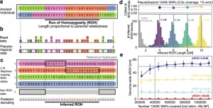Humanos antiguos rara vez - Humanos antiguos rara vez