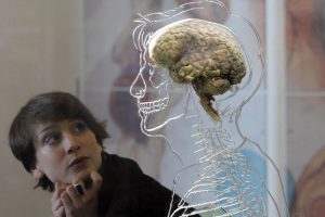 Descubren señal cerebral que enlaza - Descubren señal cerebral que enlaza