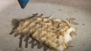 Esta tecnología es capaz de Cocinar Pollo Impreso en 3D sólo con Láser 1 3D - 3D