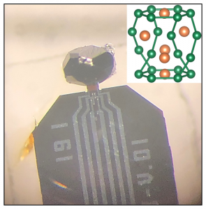 El grupo de investigadores - El grupo de investigadores