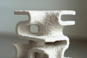 Crea coral en 3D - Crea coral en 3D