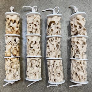 Crea coral en 3D - Crea coral en 3D