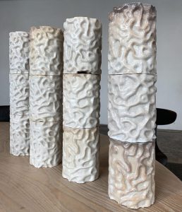 Crea coral en 3D - Crea coral en 3D