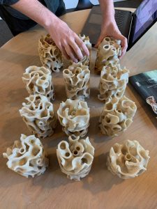 Crea coral en 3D - Crea coral en 3D