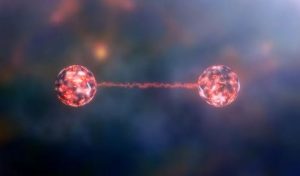 Observan caminar de los tardígrados, Estrellas devoran sus planetas, Descubren nueva isla más septentrional del mundo, estas y otras noticias que quizá te perdiste la semana pasada 9 -